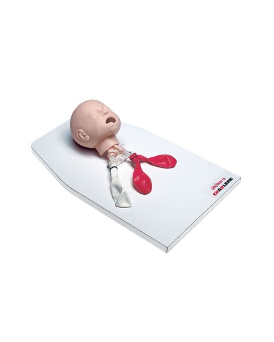 Infant Airway Trainer with Stand